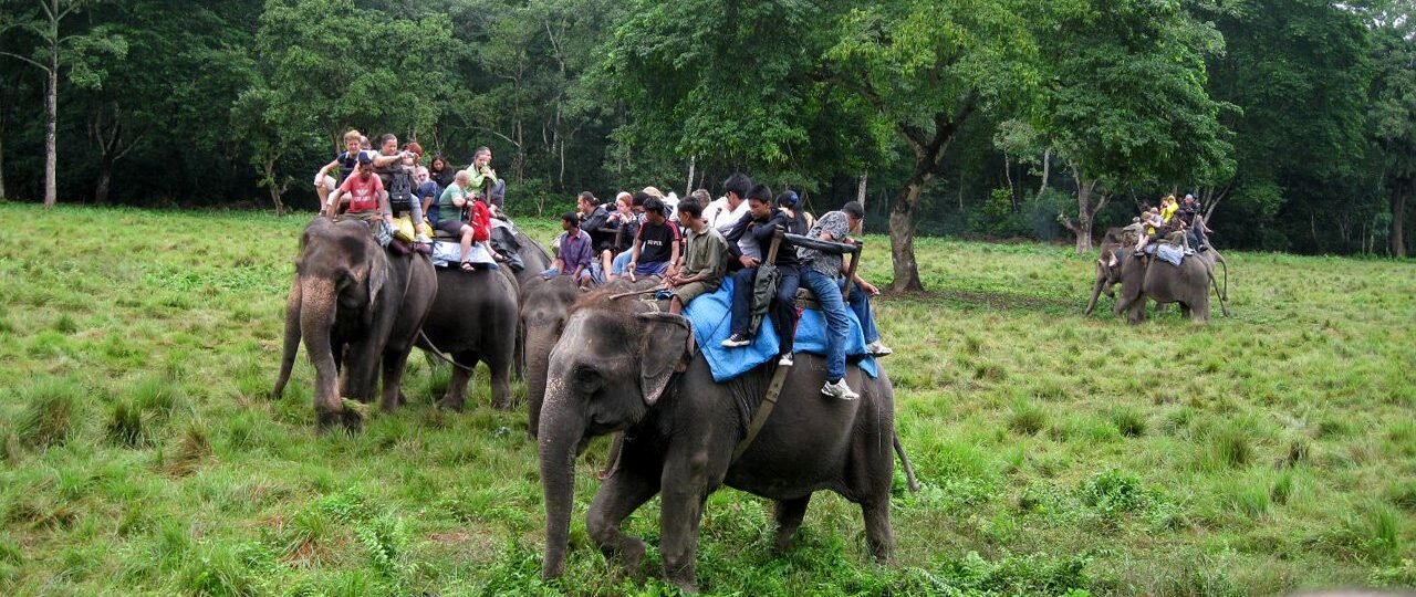 Jungle Safari real Journey Nepal